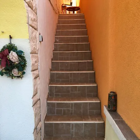 Apartment Selena1